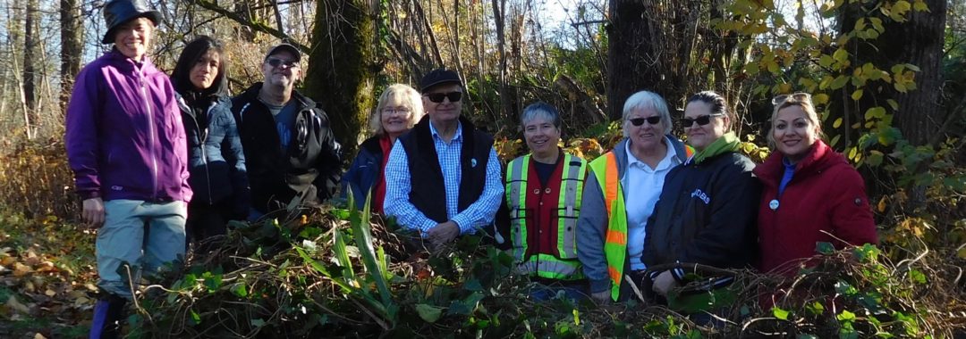Maple Creek Invasive Pull