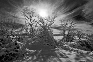 Colony farms - Originelle Designs Photography