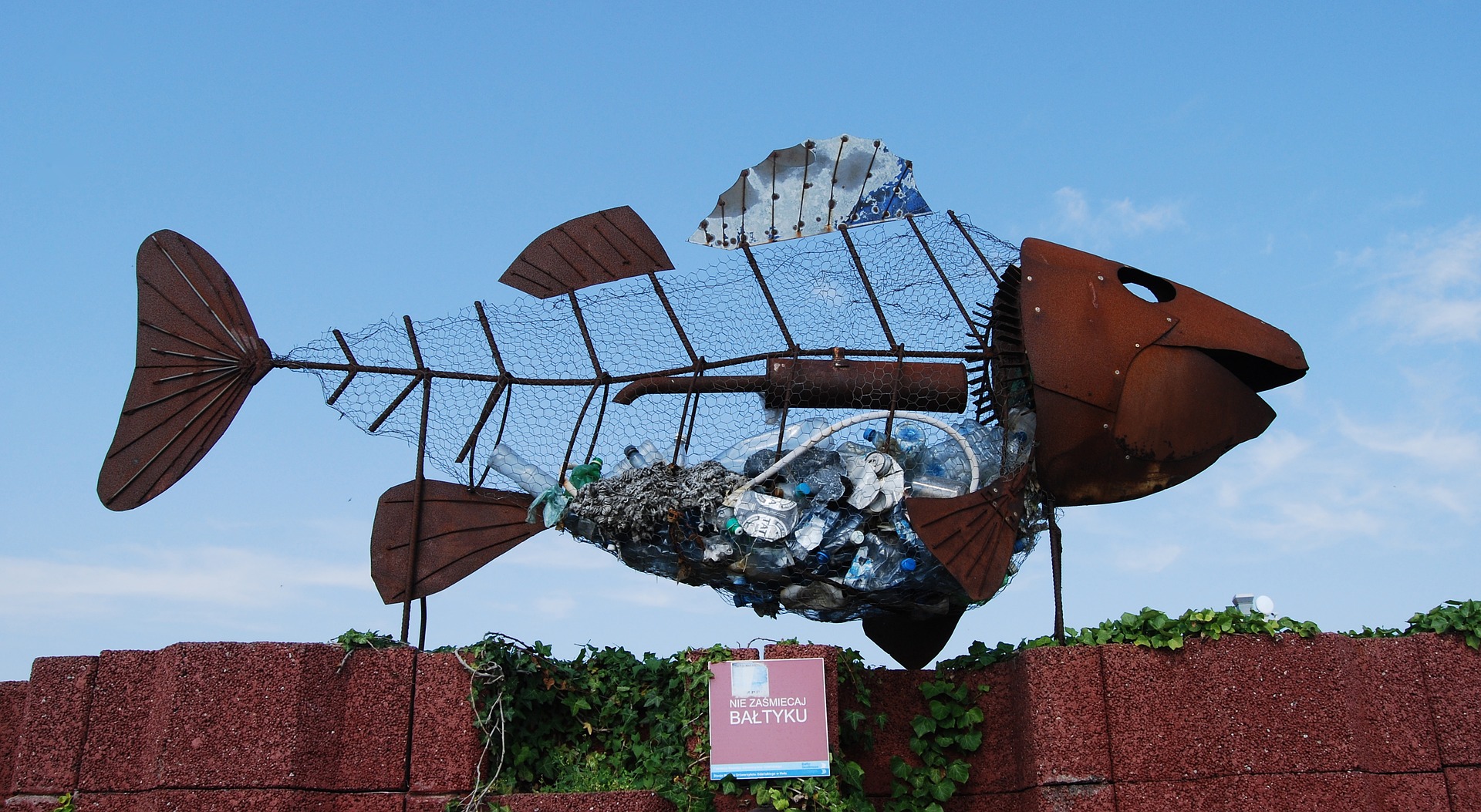 CRWR Waste-Ban Campagin