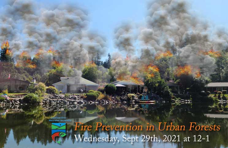Summer 2021 Webinar