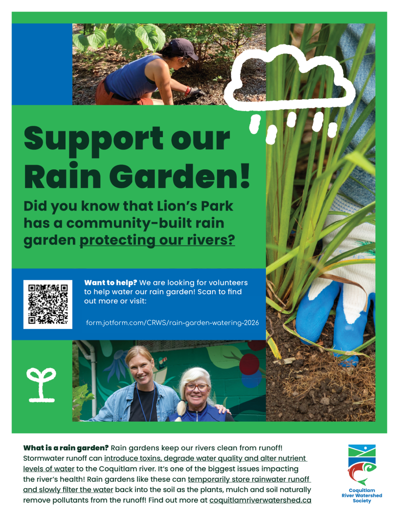 Rain Garden poster 2026